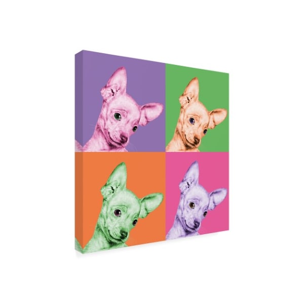 Jon Bertelli 'Sweet Chihuahua Pop' Canvas Art,35x35